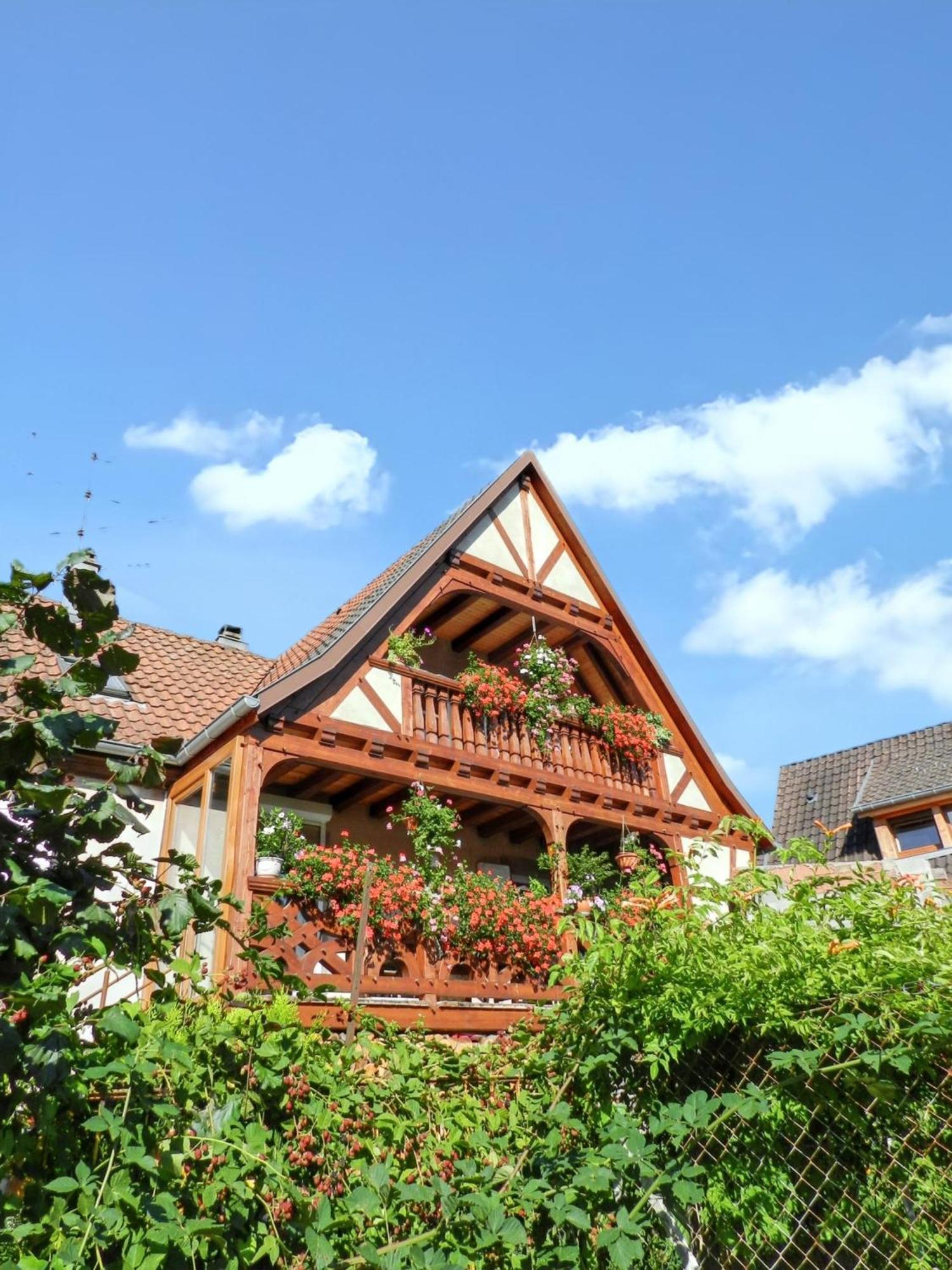 Maison Charmante Avec Vue Sur La Montagne A Triembach-Au-Val Kültér fotó